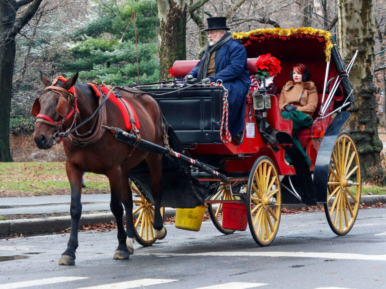 Photo shows a horse-drawn carriage in Central Park.
