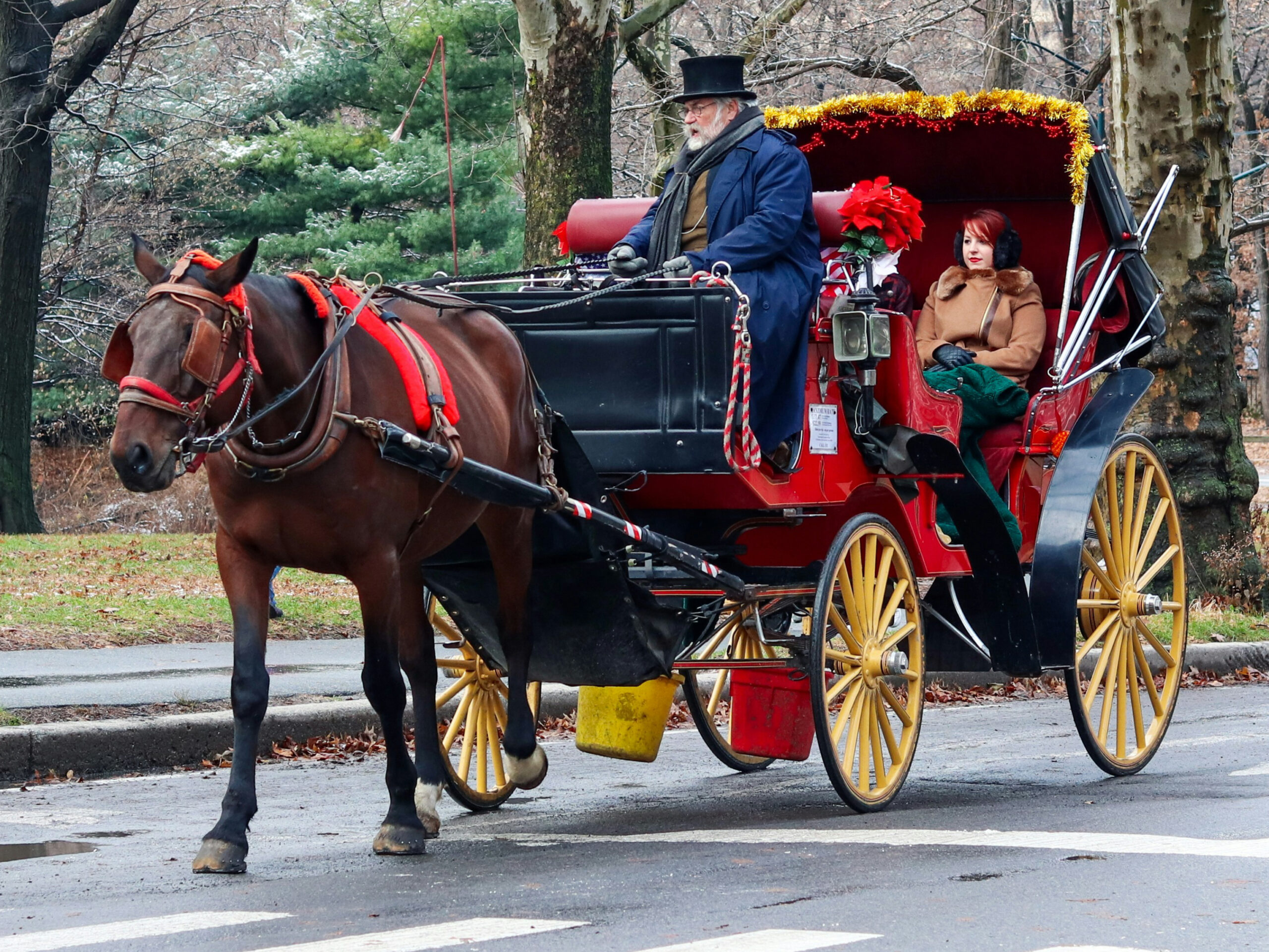 Photo shows a horse-drawn carriage in Central Park.